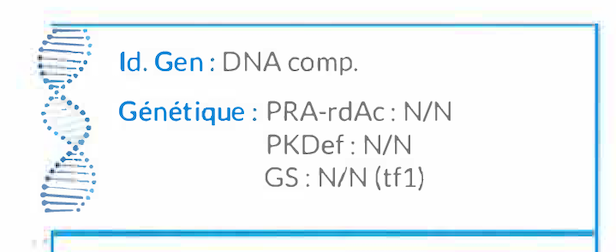 dna comp