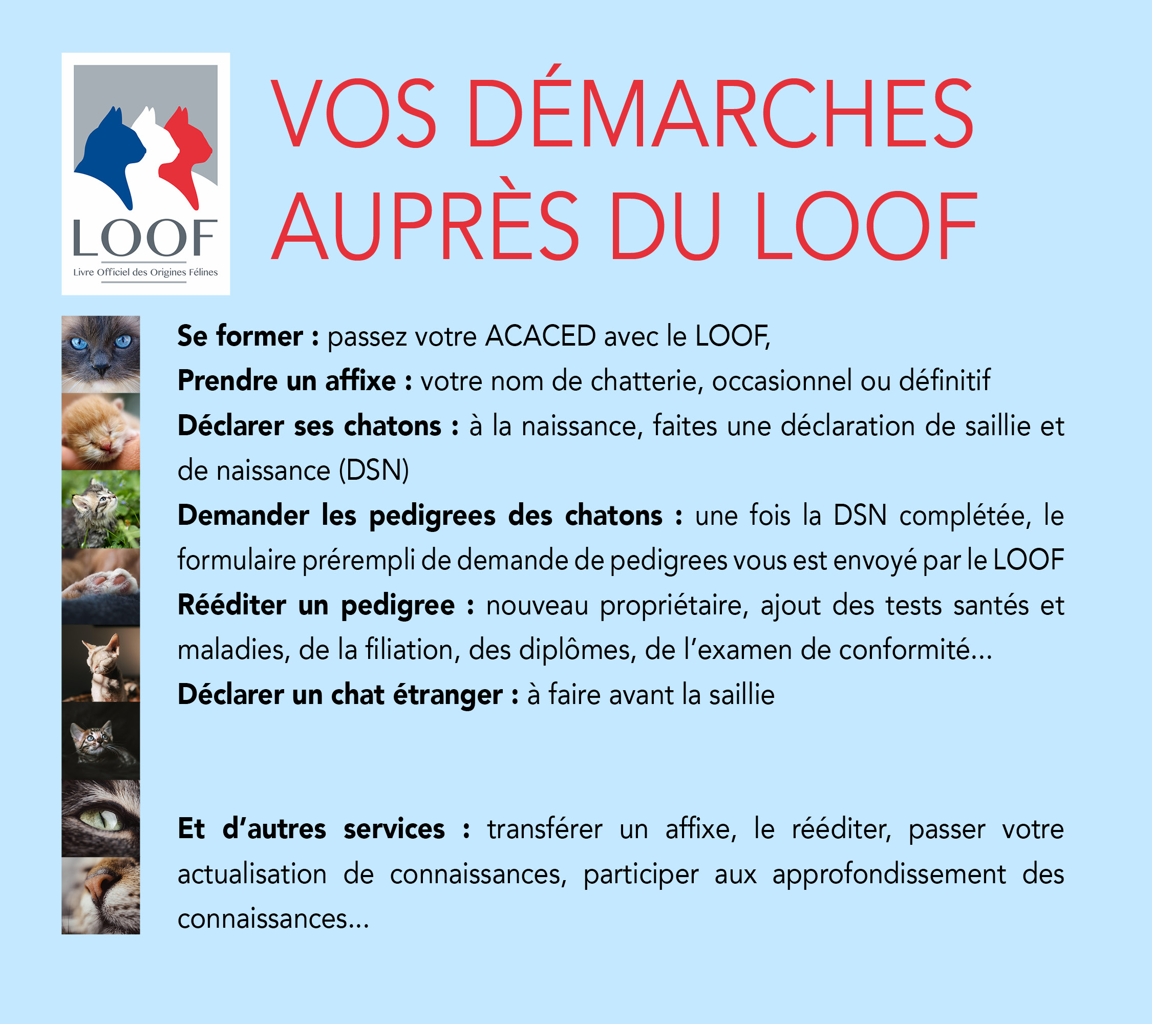 Vos démarches LOOF