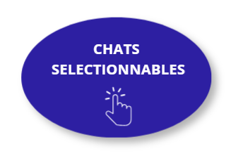 liste selectionnables