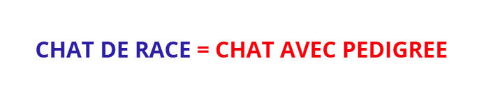 chat de race