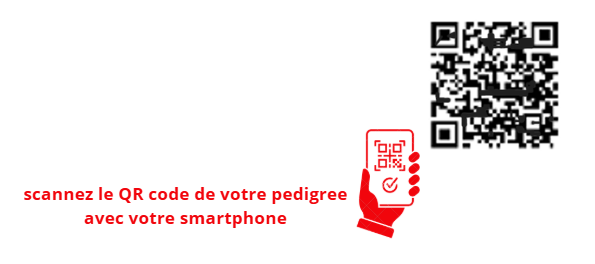 QR