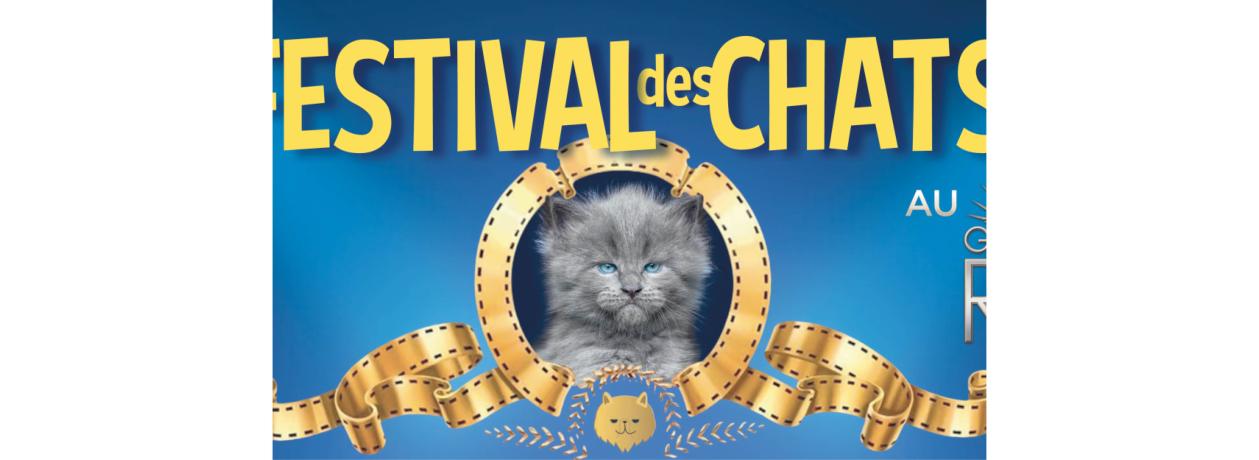 Festival des chats.jpg