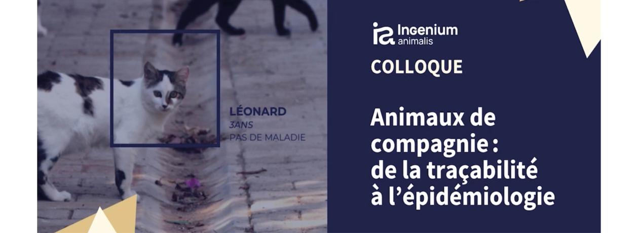 Colloque epidémio actualité.jpg