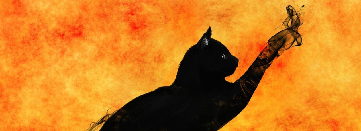 Chat orange noir