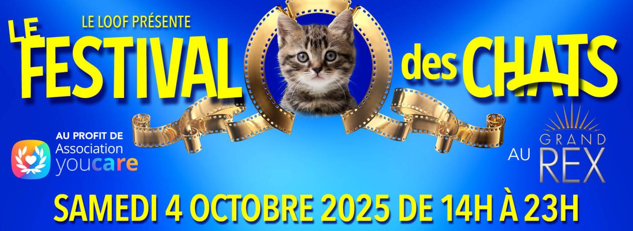 Festival des chats