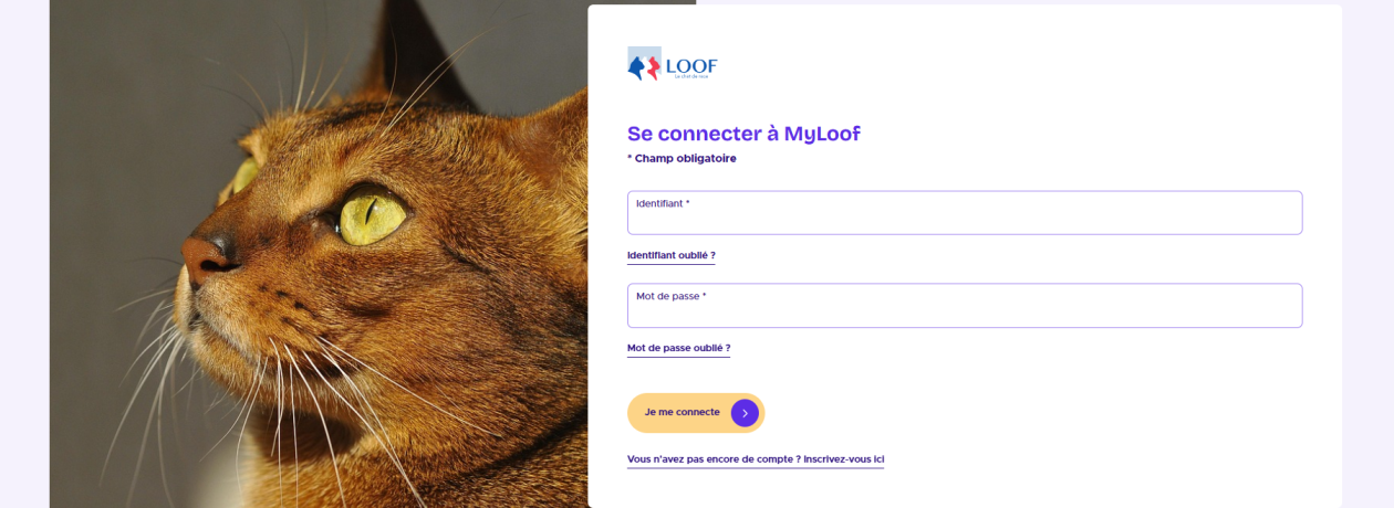 nouveau myloof
