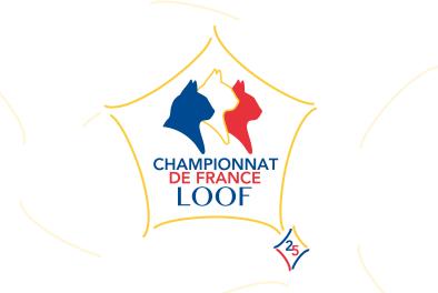 Logo championnat de France actu site