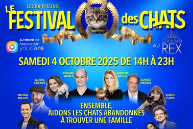 Festival des chats