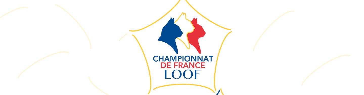 Logo championnat de France actu site