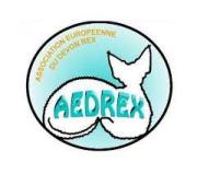 AEDREX logo.jpeg