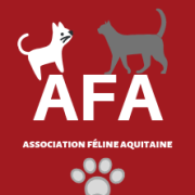 AFA logo.png