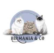 Birmania logo.png