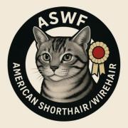 logo Américan Shorthair Wirehair de France (ASWF)