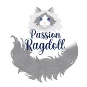 passion ragdoll