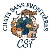 chats sans frontières