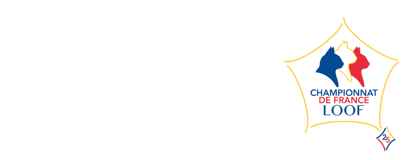 Bannière championnat de France 2025.png