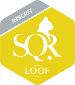 logo SQR inscrit jaune
