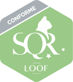 logo SQR conforme vert
