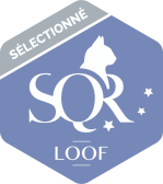 logo SQR sélectionné bleu