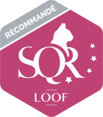 logo SQR recommandé violet