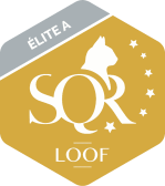 logo SQR Elite A doré