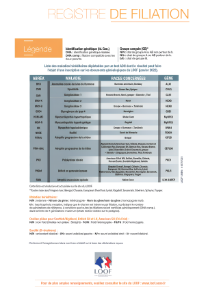 RF nouvelle version