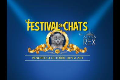 Embedded thumbnail for Le LOOF partenaire du 1e Festival des chats au Grand Rex ! &gt; Paragraphs content &gt; Contents of the right column
