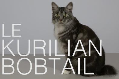 Embedded thumbnail for Kurilian Bobtail &gt; Autre contenu &gt; Contents of the right column