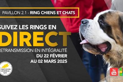 Embedded thumbnail for CGA 2025 : Samedi 22, direct et résultats &gt; Paragraphs content