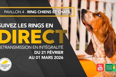 Embedded thumbnail for CGA 2026 - Samedi 21 février 2026 > Paragraphs content